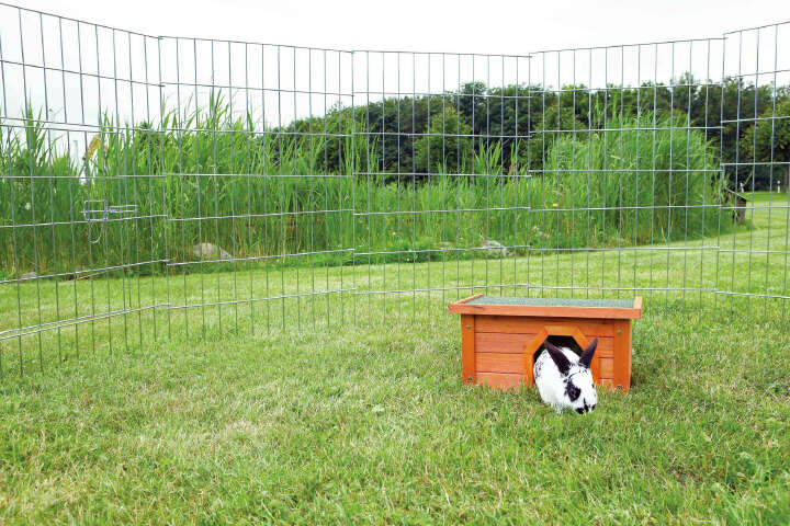 TRIXIE natura Kleintierhaus, 40 × 20 × 28 cm, braun